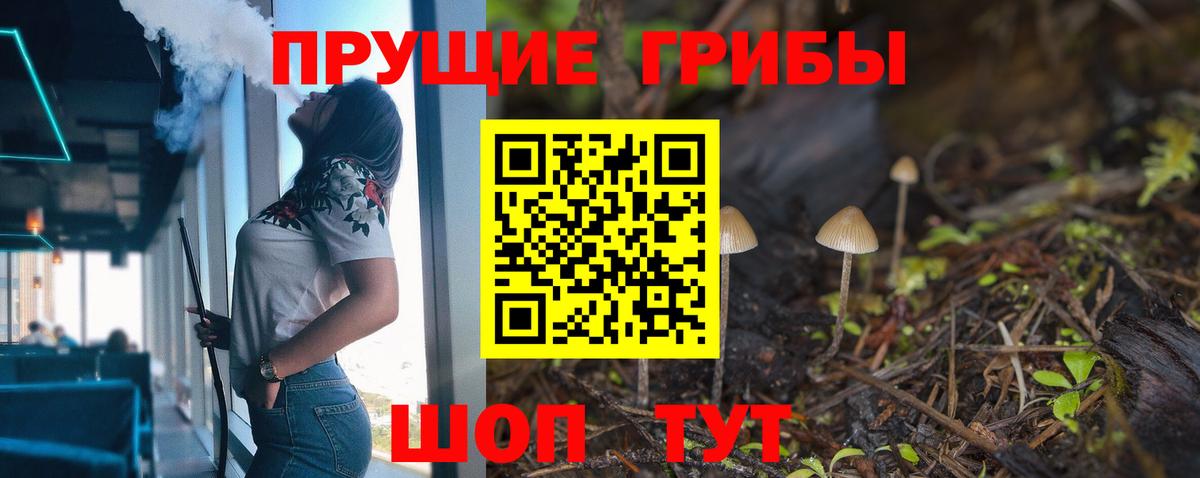 Псилоцибиновые грибы Psilocybe  Псилоцибиновые грибы GOLDEN TEACHER  Бугуруслан  Вход с VPN 